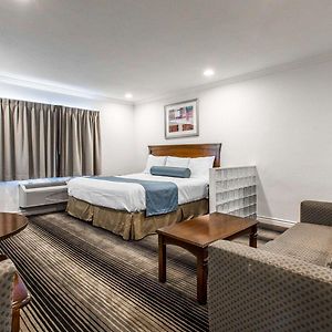 Suite Lit King-Size